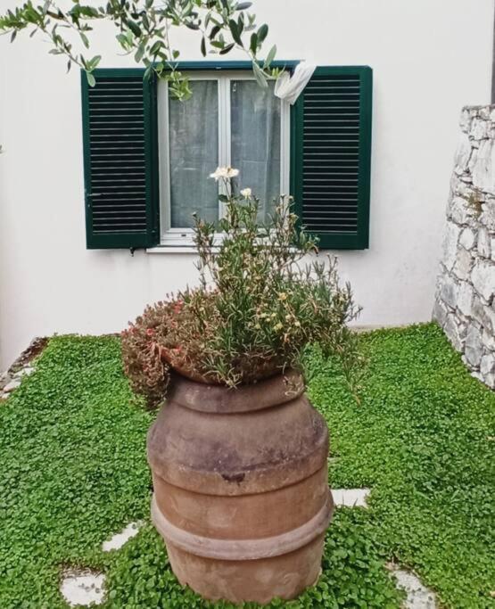 La Piazzetta Di Gra E Baldo Apartment Sestri Levante Exterior photo